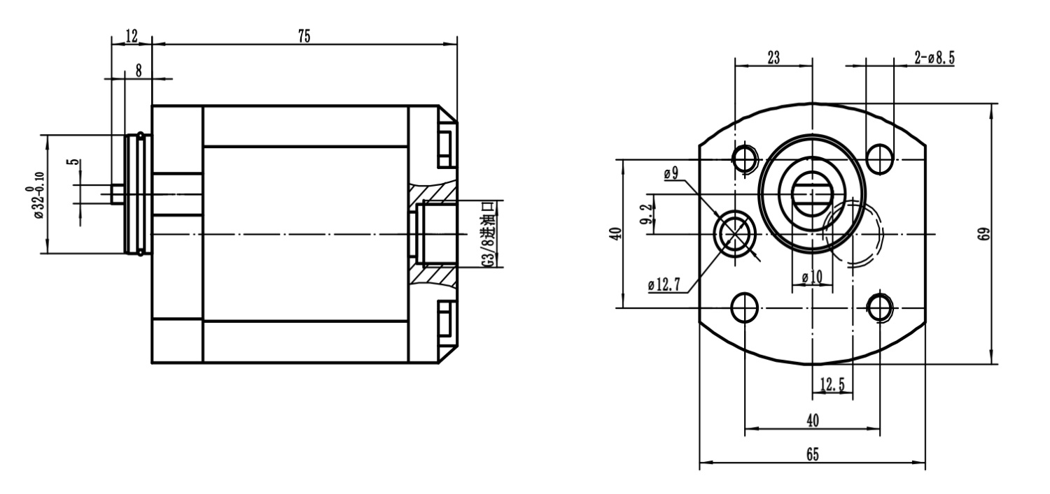 B02 GL01BF Gear Oil Pump