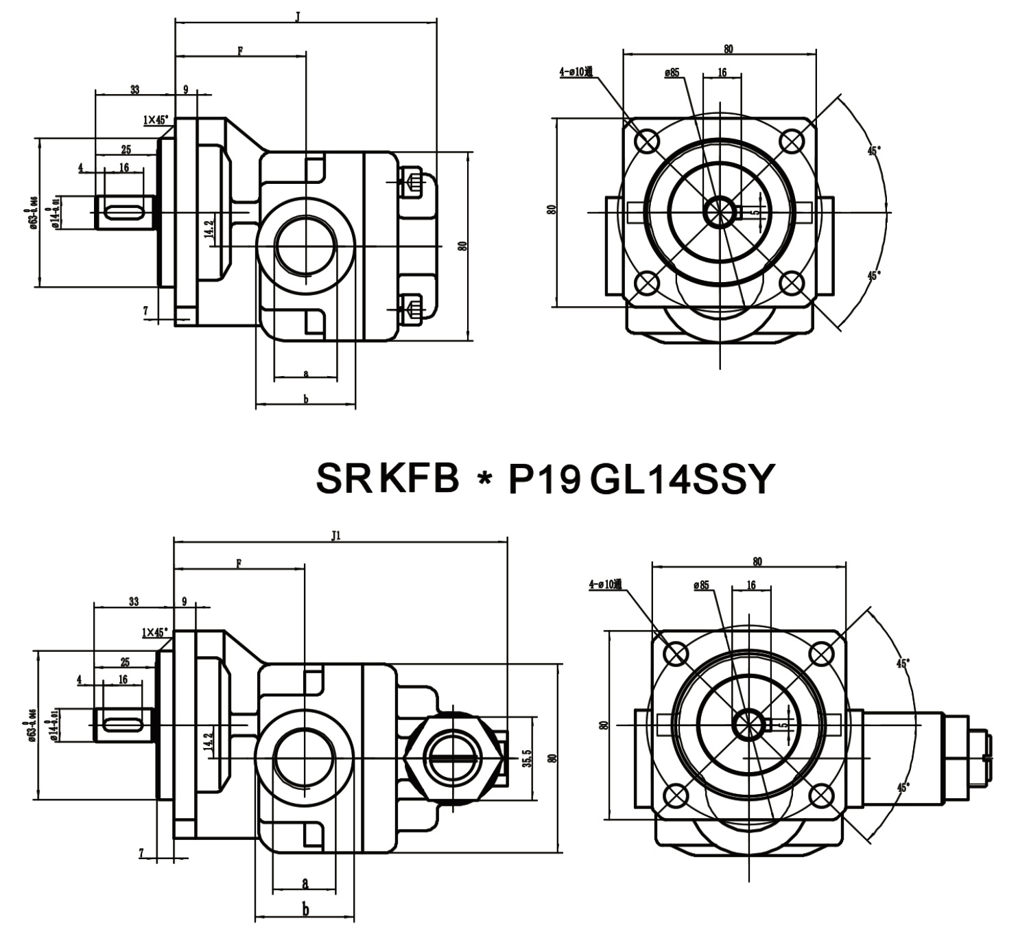 P19GL14 Gear Oil Pump